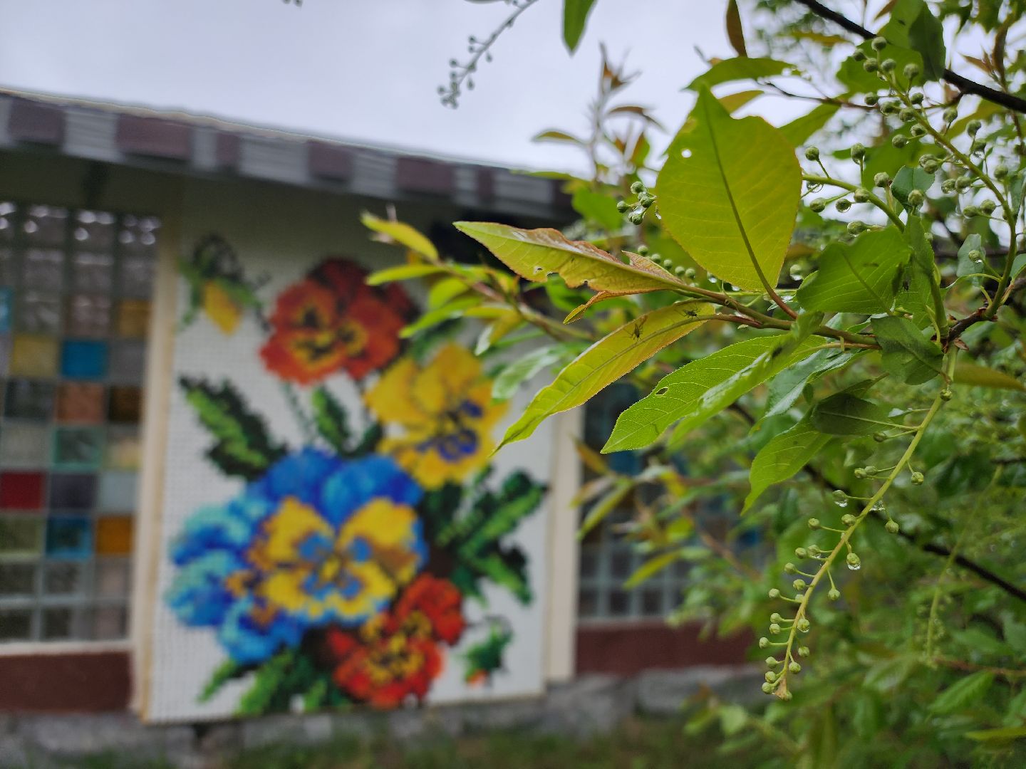 Егорьевск , Подмосковье , Московская область ,