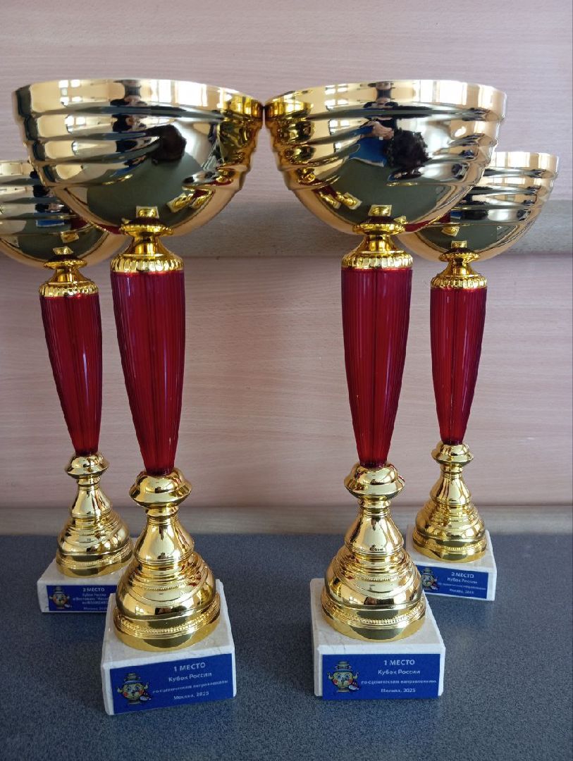 красноармейск, городской округ пушкинский, театр танцев, всемирная танцевальная олимпиада ,