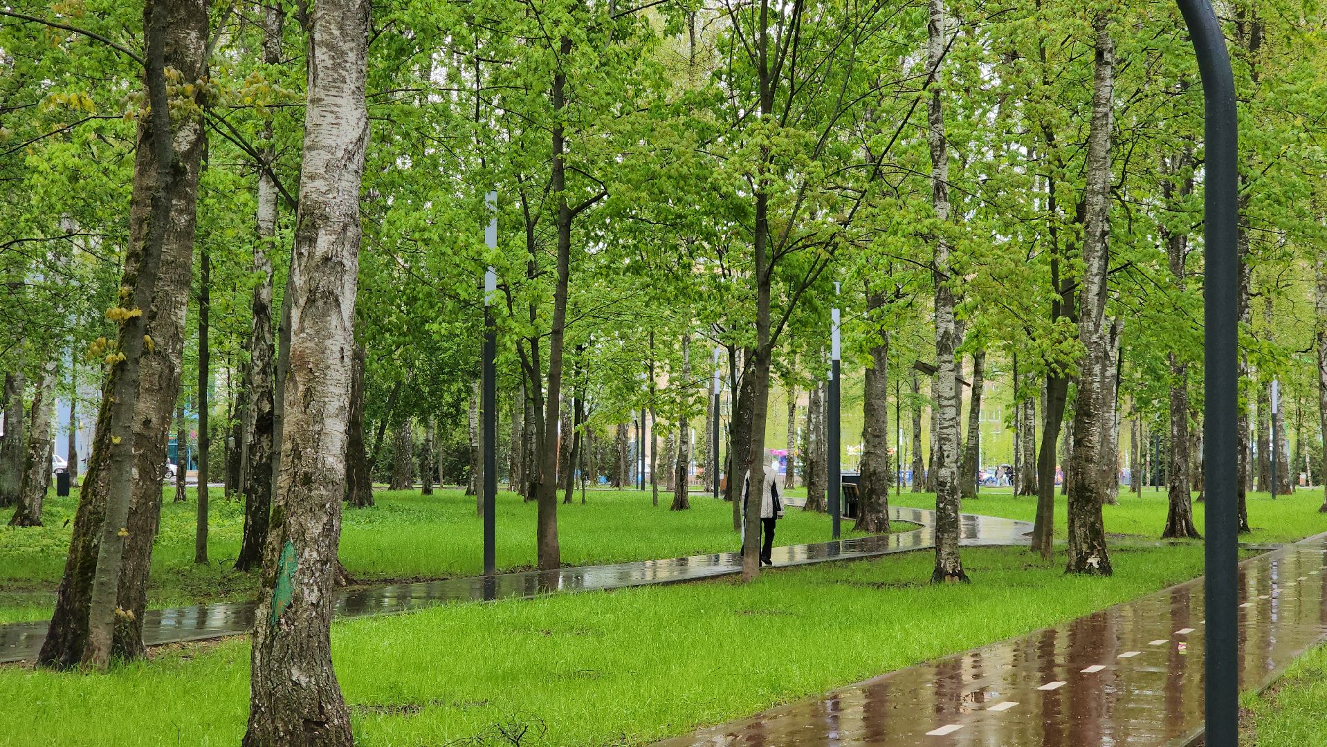 Уборка дорог, механизированная уборка, Лобня, Парк,