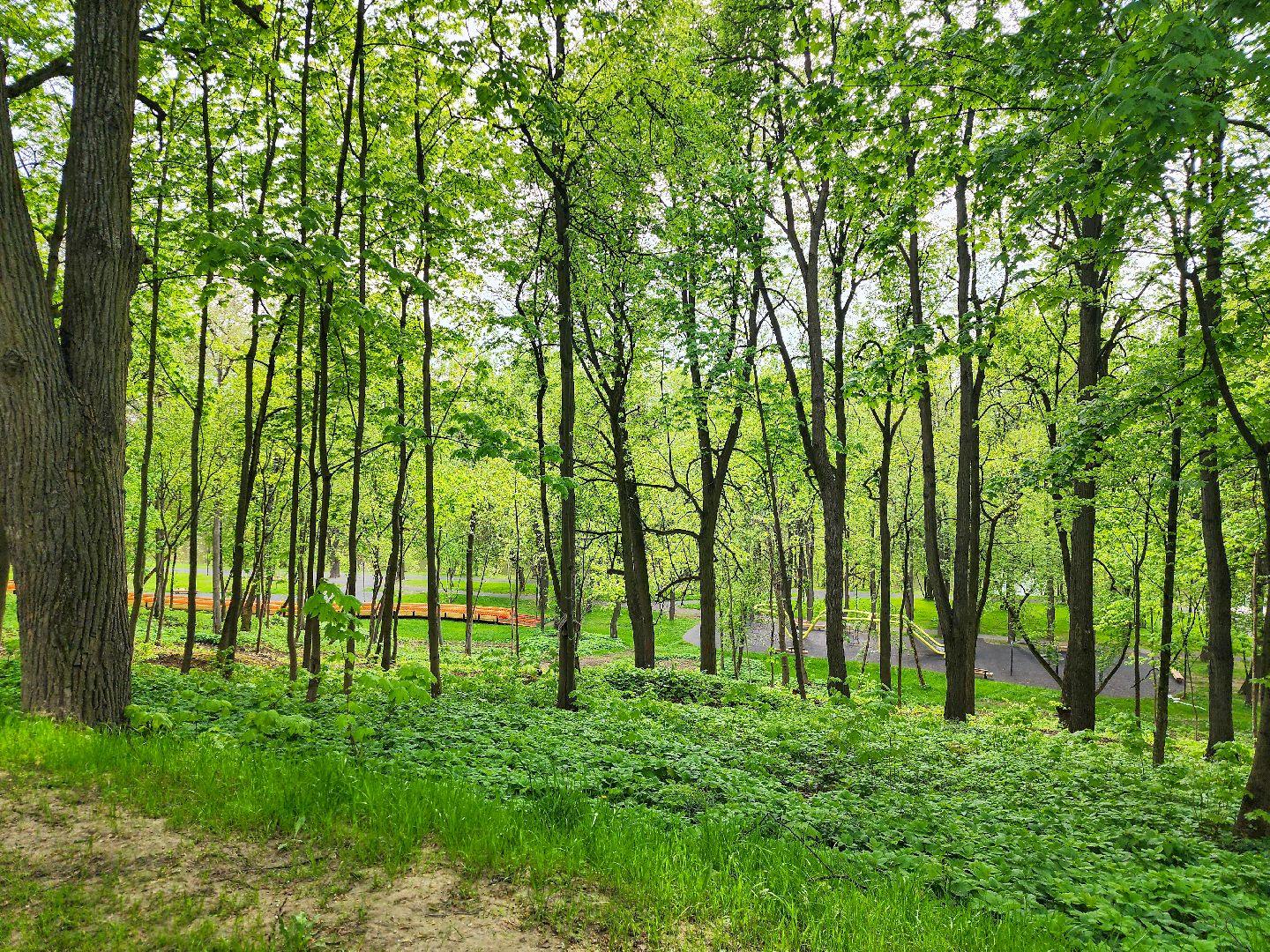 Подольск, Благоустройство, парк имени талалихина,парки подмосковья,