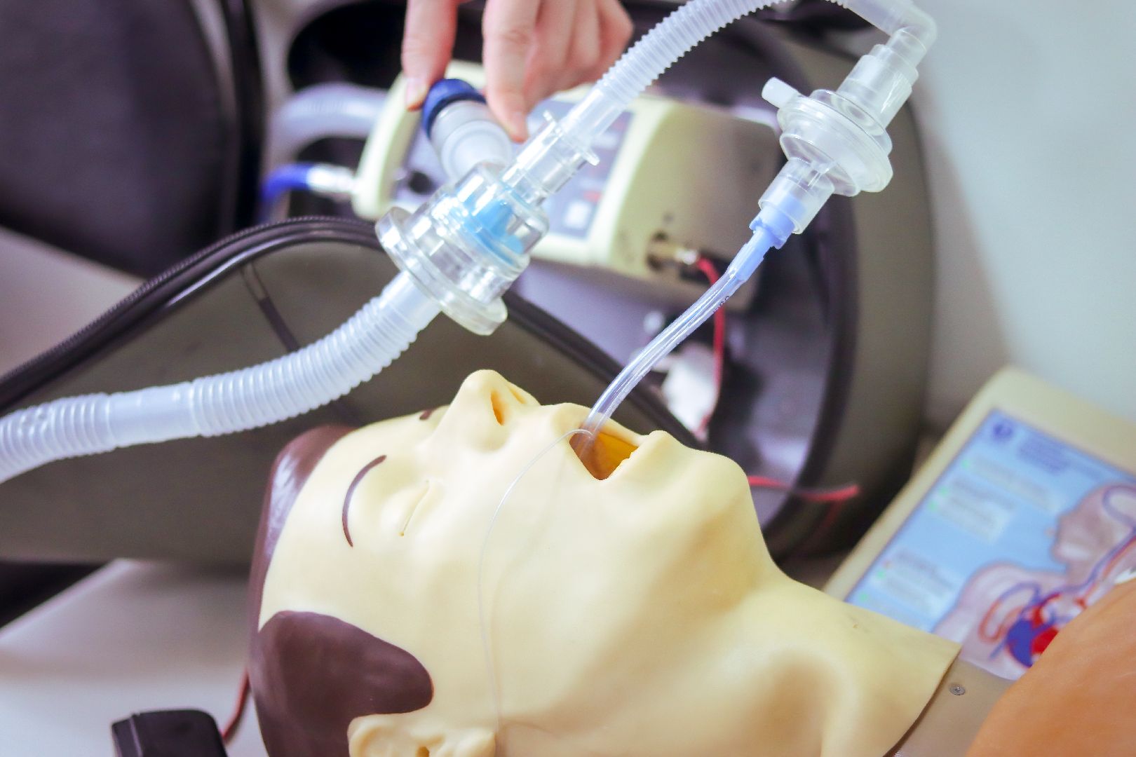 клин, общество, образование, медицина, студенты, подмосковье,