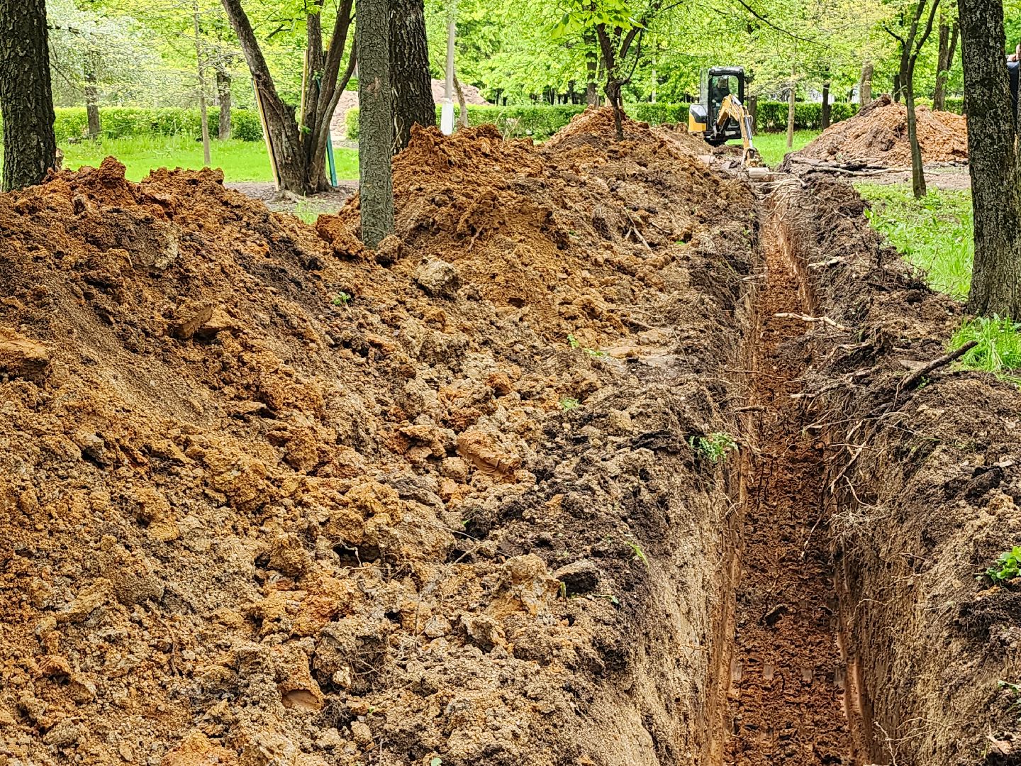 серпухов, парк питомник в серпухове, реконструкция парка питомник в серухове, аллея с туями в парке питомник в серпухове, благоустройство,