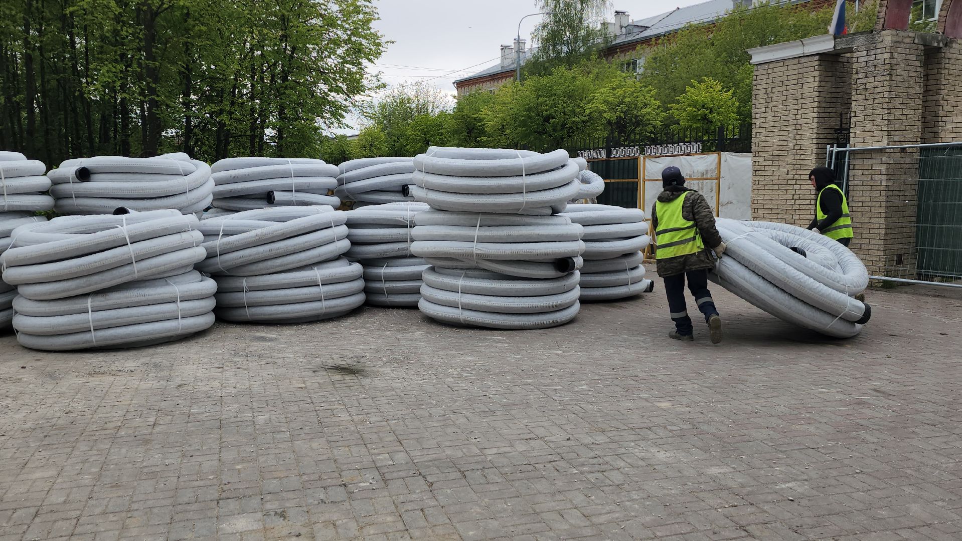 серпухов, парк питомник в серпухове, реконструкция парка питомник в серухове, аллея с туями в парке питомник в серпухове, благоустройство,