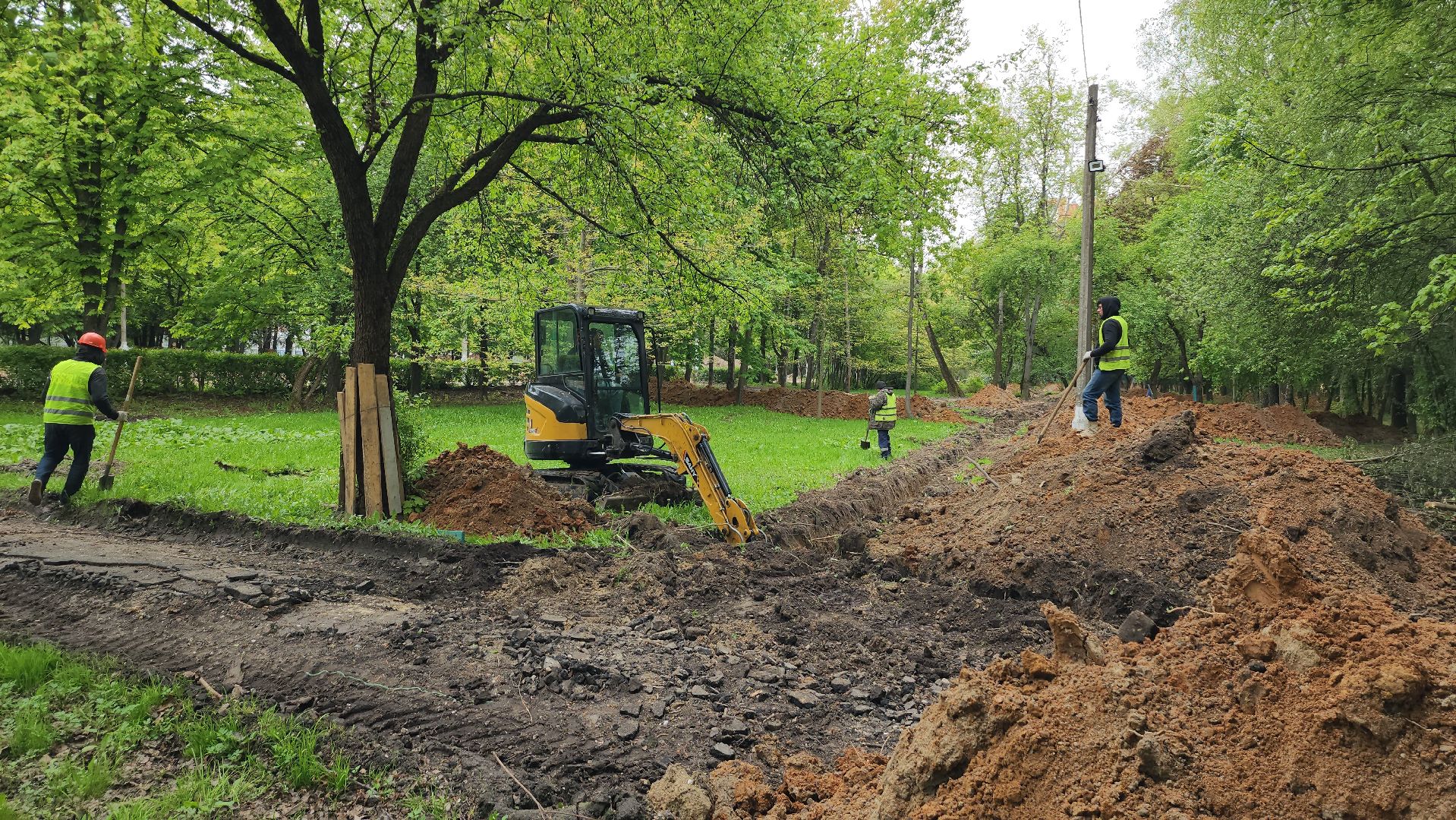 серпухов, парк питомник в серпухове, реконструкция парка питомник в серухове, аллея с туями в парке питомник в серпухове, благоустройство,
