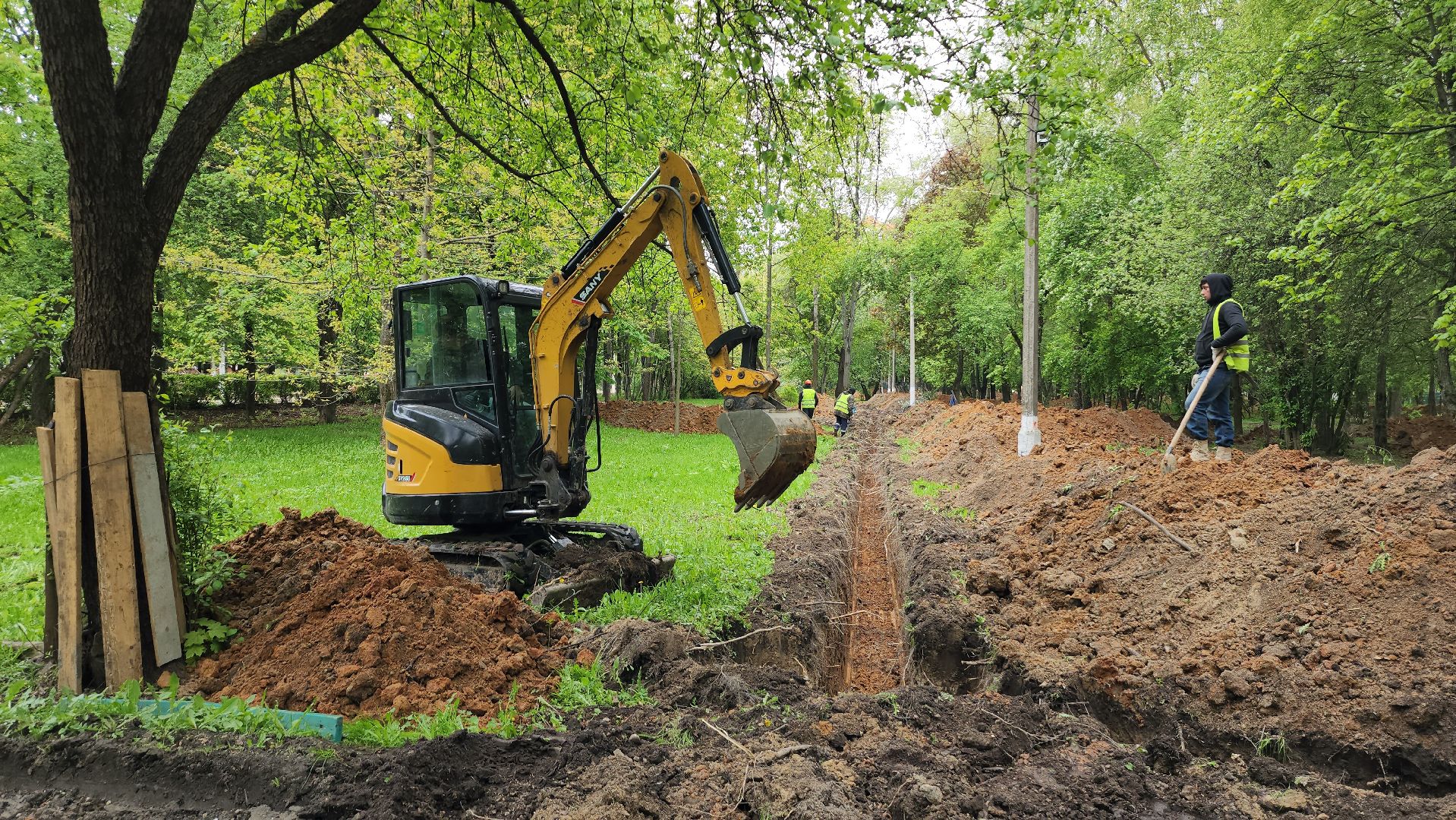 серпухов, парк питомник в серпухове, реконструкция парка питомник в серухове, аллея с туями в парке питомник в серпухове, благоустройство,