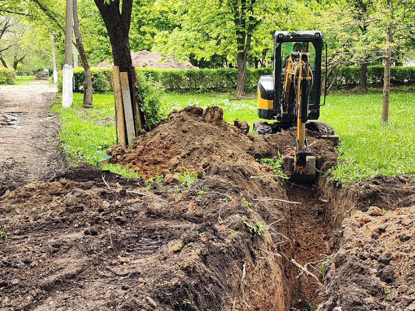 серпухов, парк питомник в серпухове, реконструкция парка питомник в серухове, аллея с туями в парке питомник в серпухове, благоустройство,