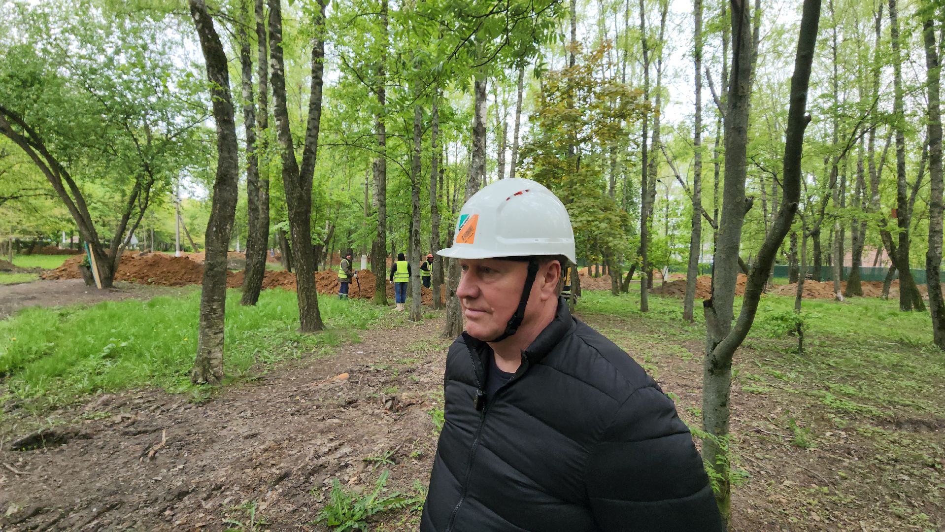 серпухов, парк питомник в серпухове, реконструкция парка питомник в серухове, аллея с туями в парке питомник в серпухове, благоустройство,