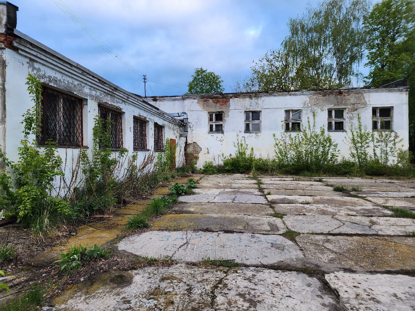 выездная администрация, шатура, шатурский округ, туголесский бор, благоустройство 2025,