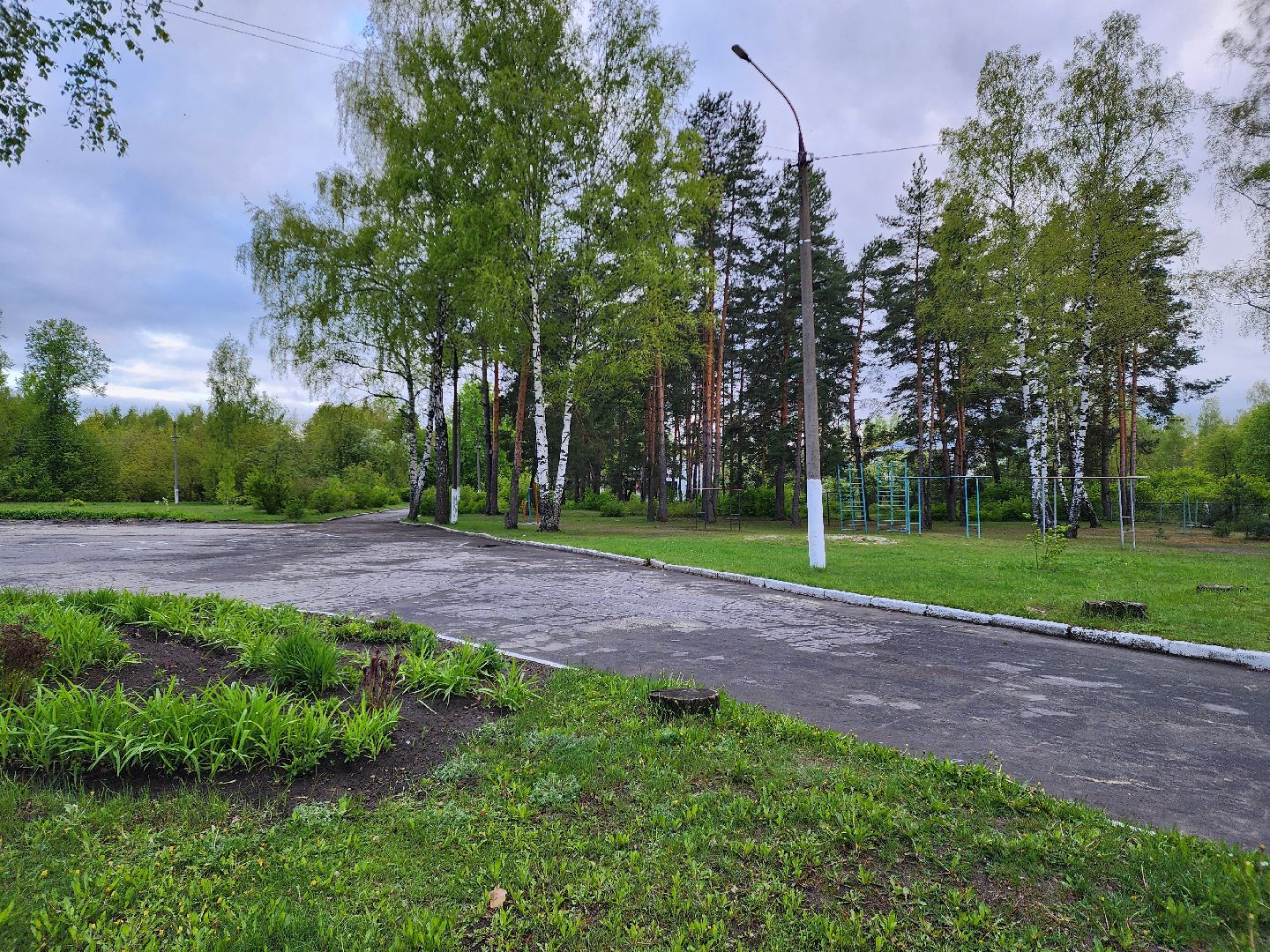 выездная администрация, шатура, шатурский округ, туголесский бор, благоустройство 2025,