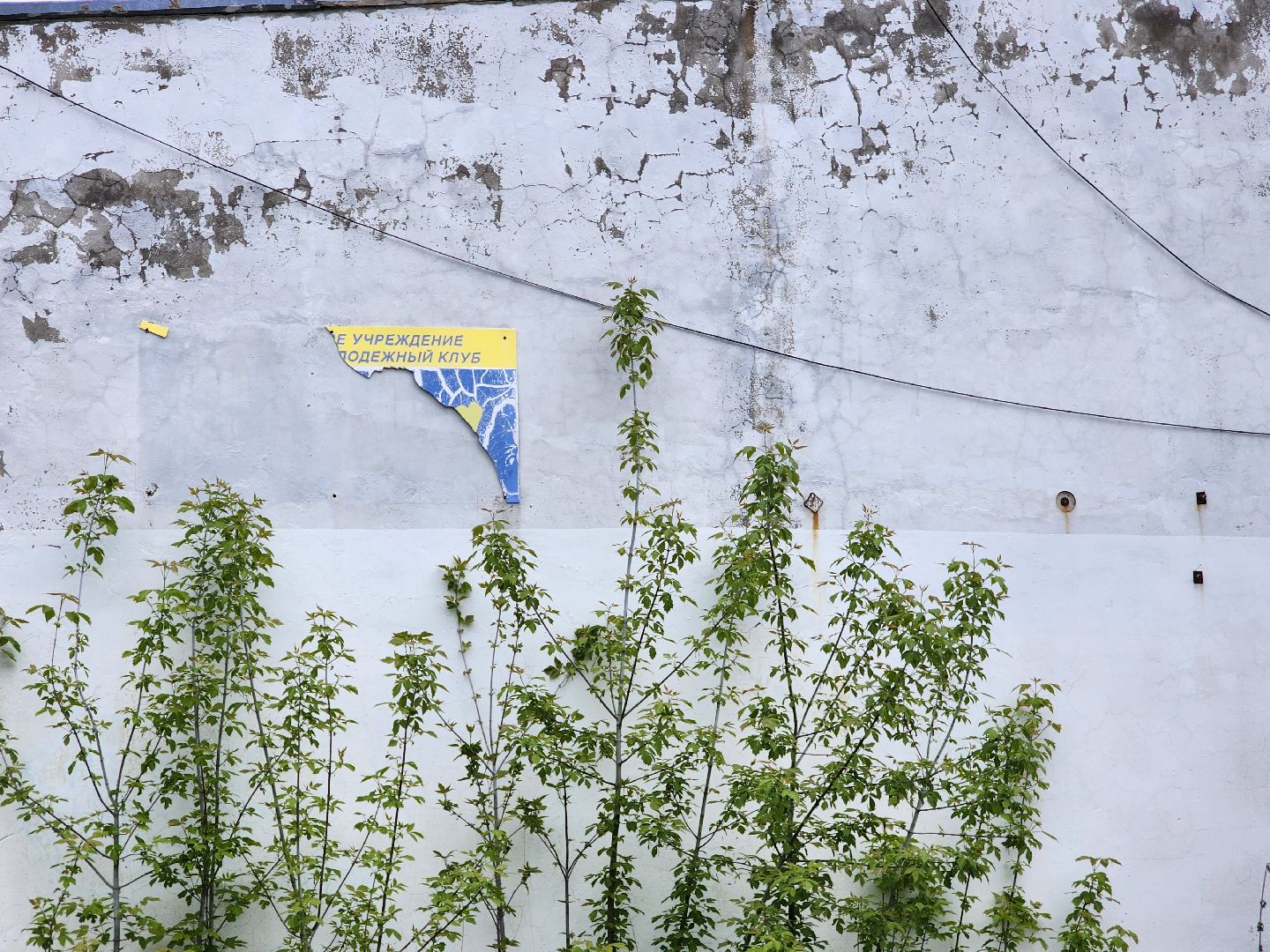 выездная администрация, шатура, шатурский округ, туголесский бор, благоустройство 2025,