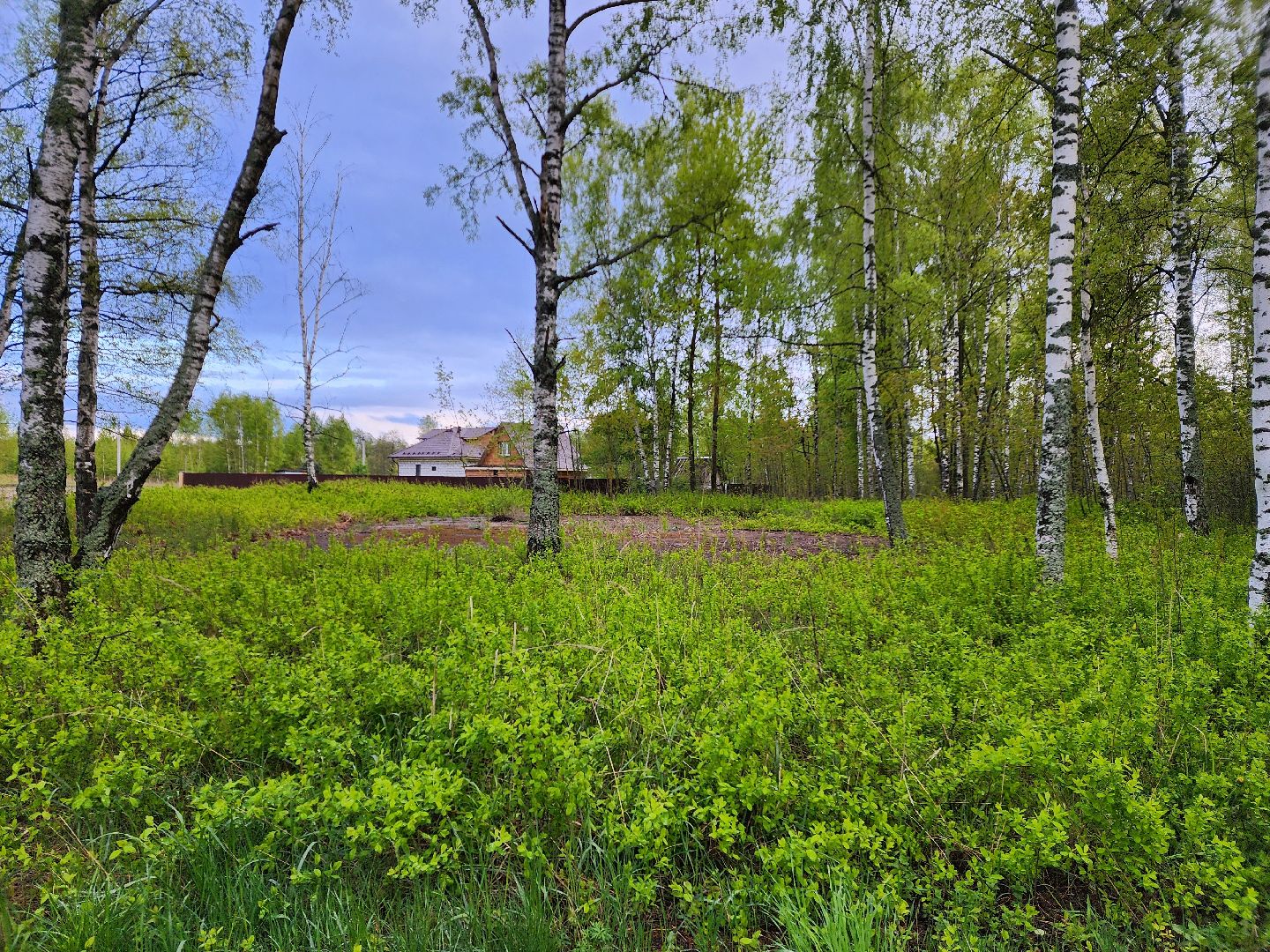 выездная администрация, шатура, шатурский округ, туголесский бор, благоустройство 2025,