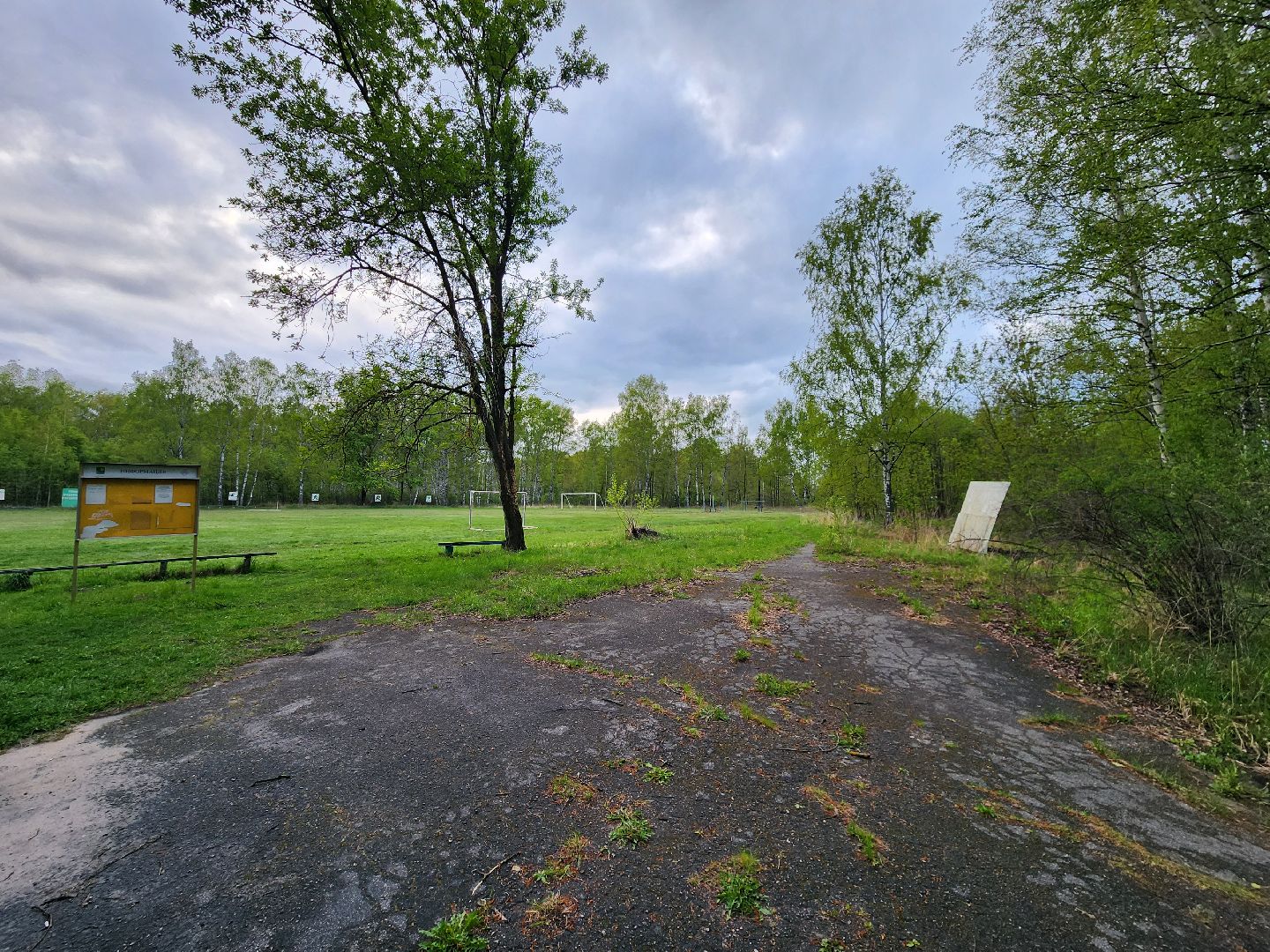 выездная администрация, шатура, шатурский округ, туголесский бор, благоустройство 2025,