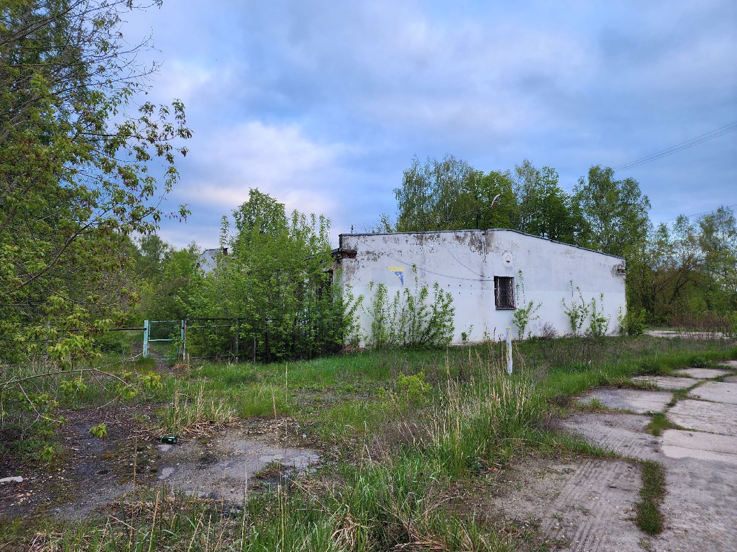 выездная администрация, шатура, шатурский округ, туголесский бор, благоустройство 2025,