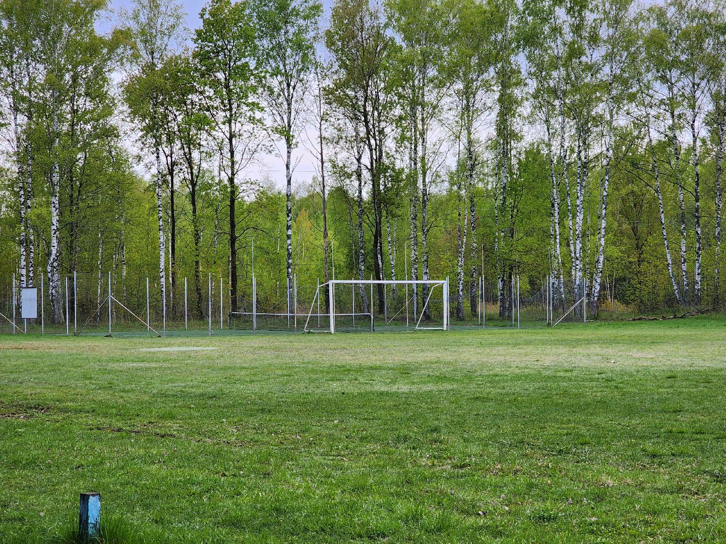 выездная администрация, шатура, шатурский округ, туголесский бор, благоустройство 2025,