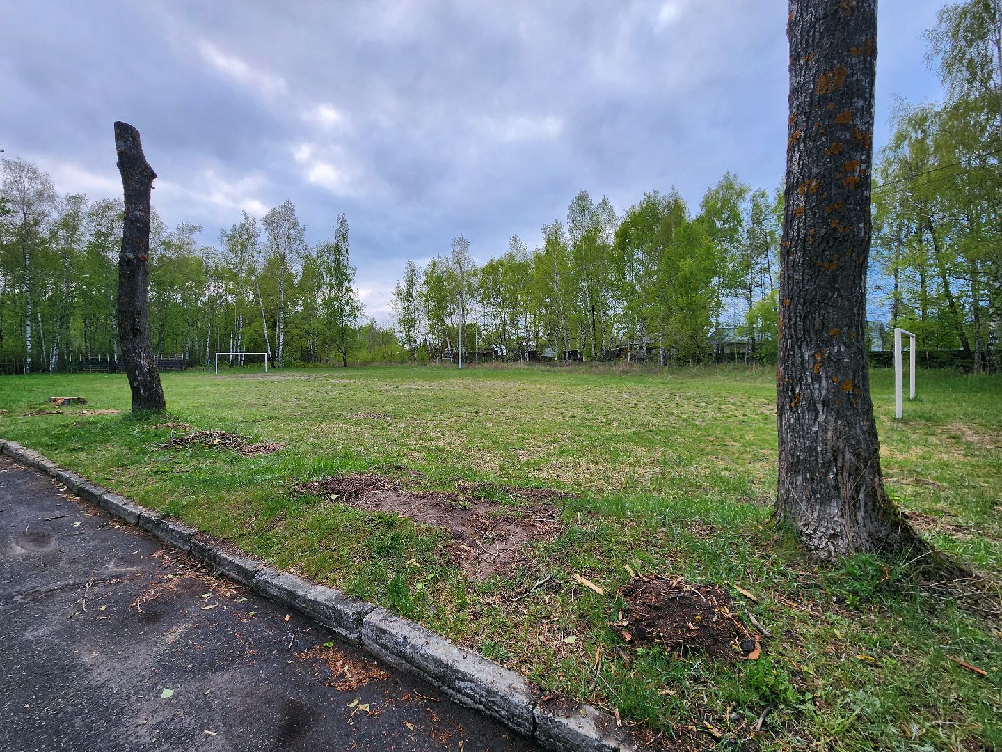 выездная администрация, шатура, шатурский округ, туголесский бор, благоустройство 2025,