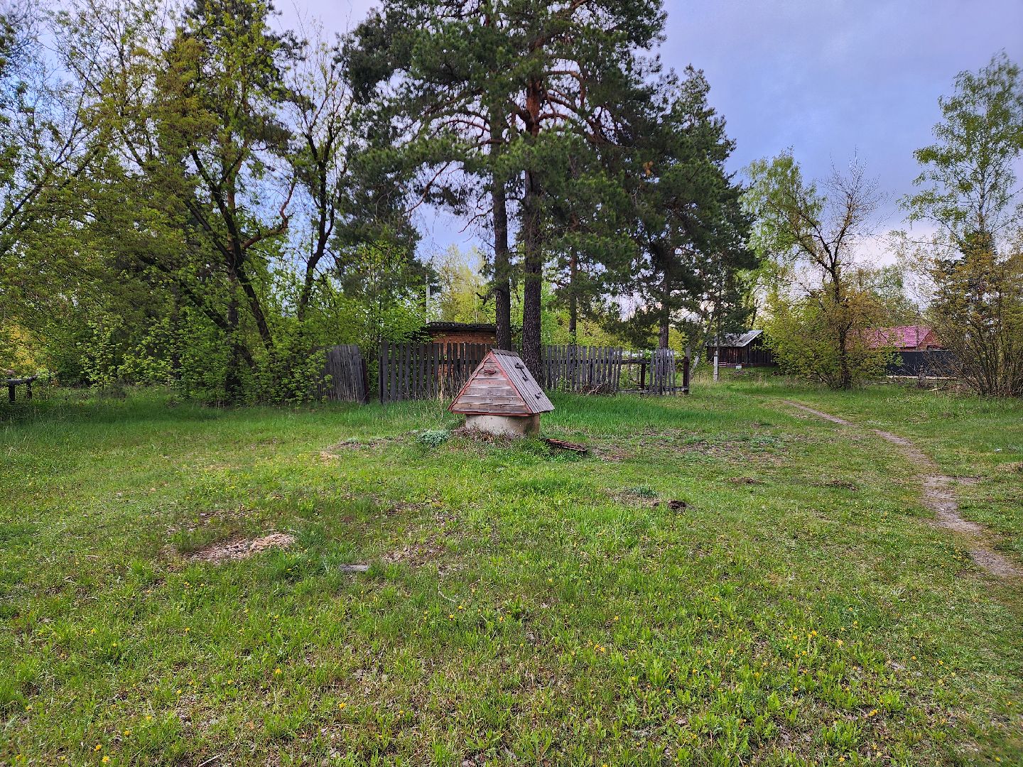 выездная администрация, туголесский бор, шатурский округ,