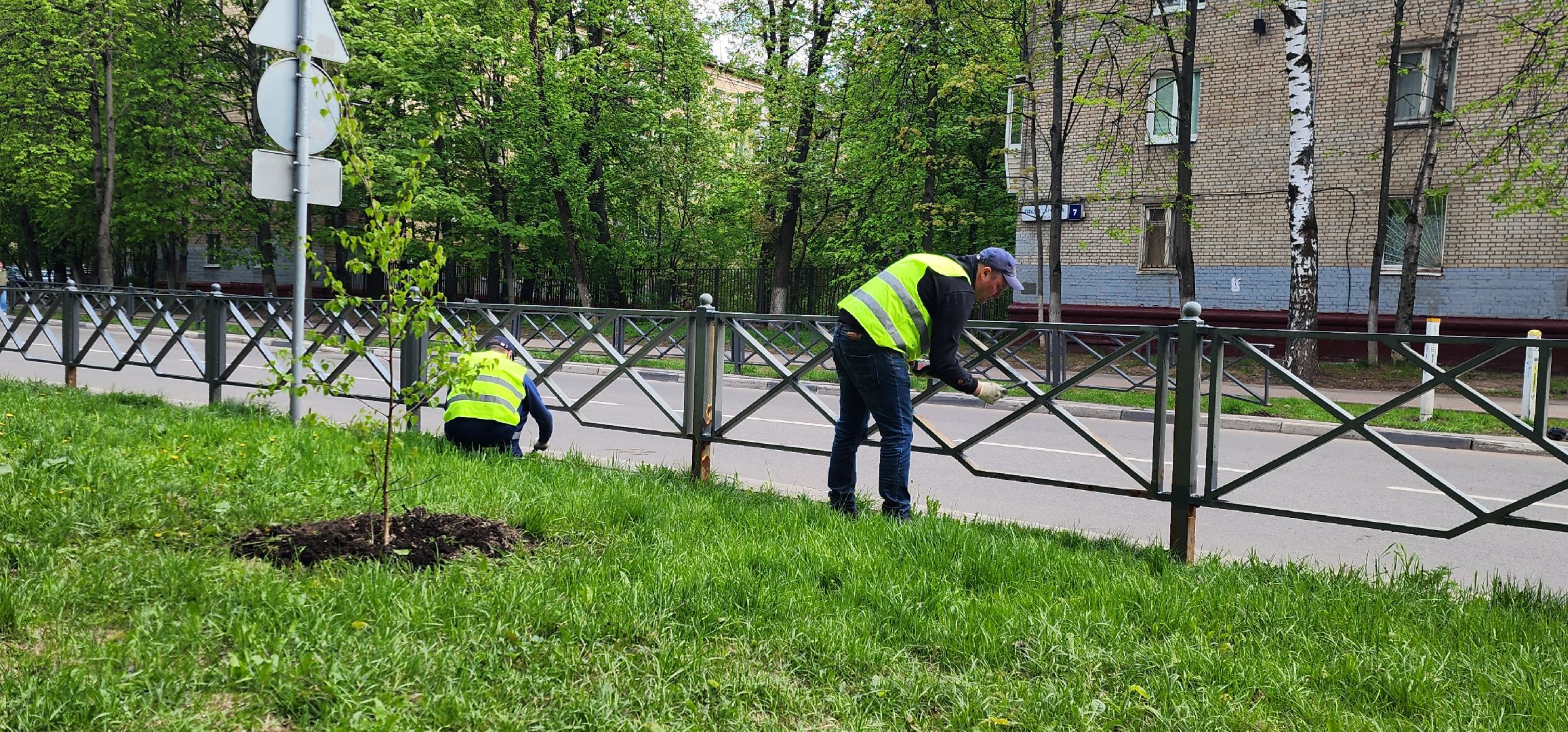 химки, благоустройство ,