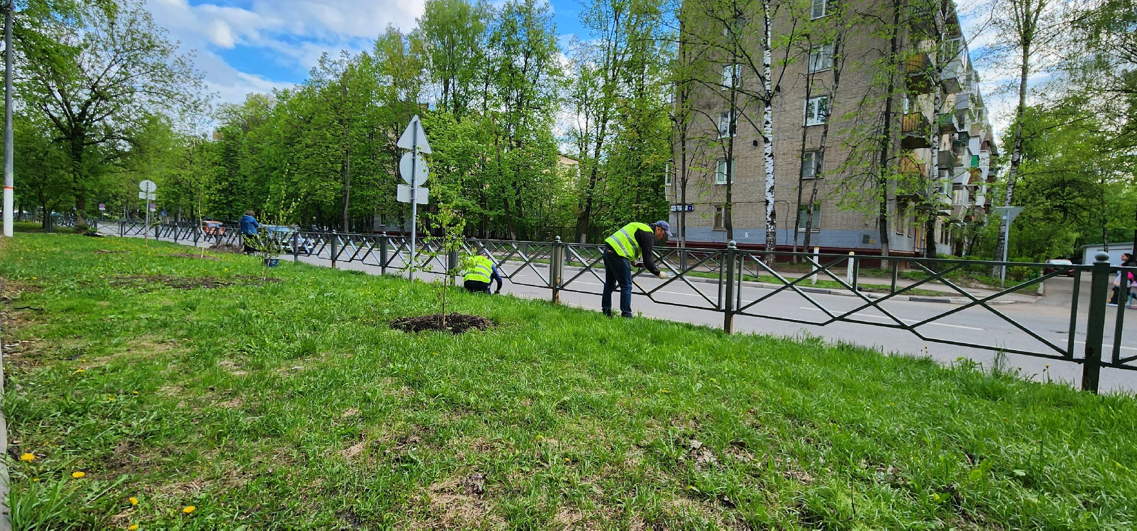химки, благоустройство ,