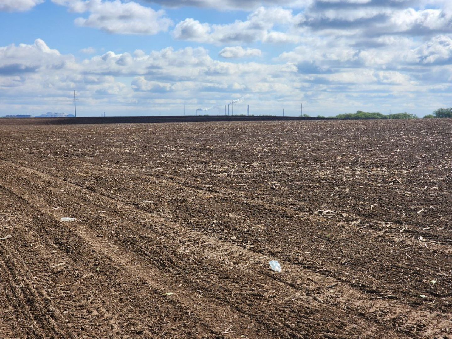 воскресенск, сельское хозяйство, аграрии, посевная 2025,