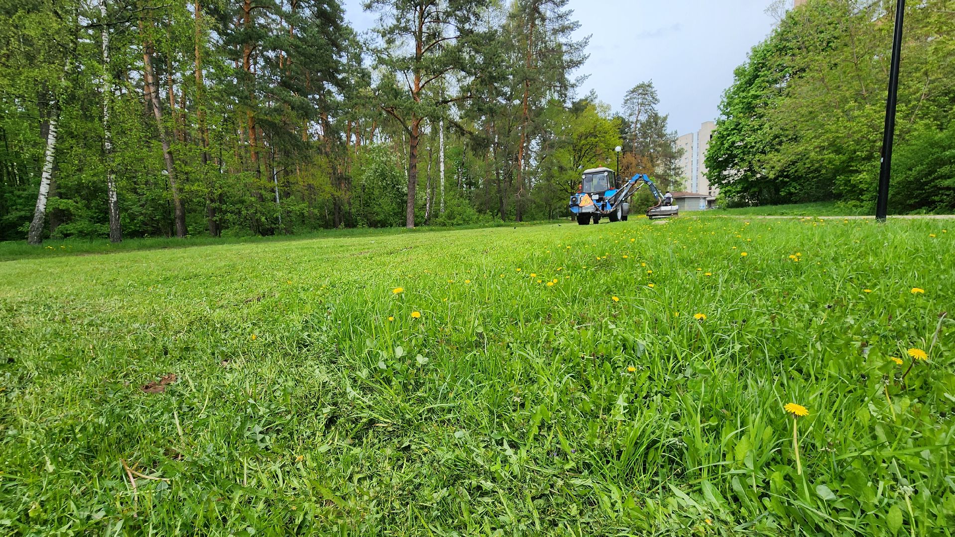 лощина протвино, сезонные работы комбината благоустройства,  благоустройство,