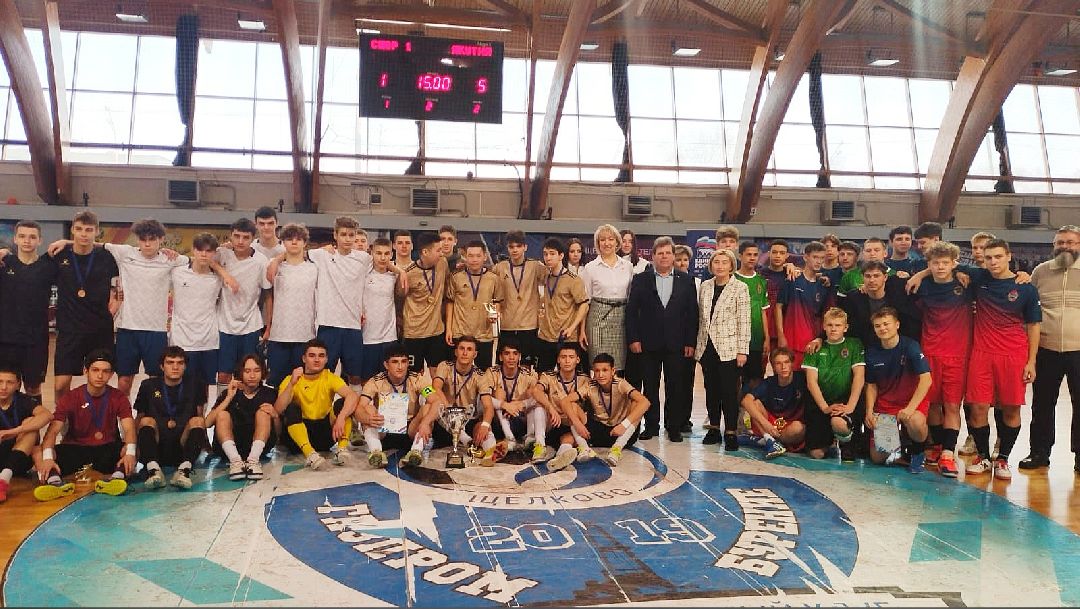 спорт, мини-футбол, футбол, Щёлково