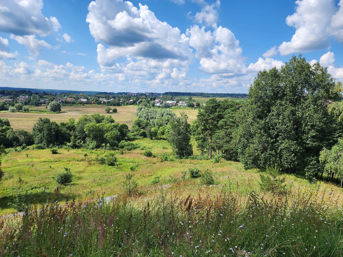 Туризм, афиша мероприятий звенигород, Ночь музеев ,