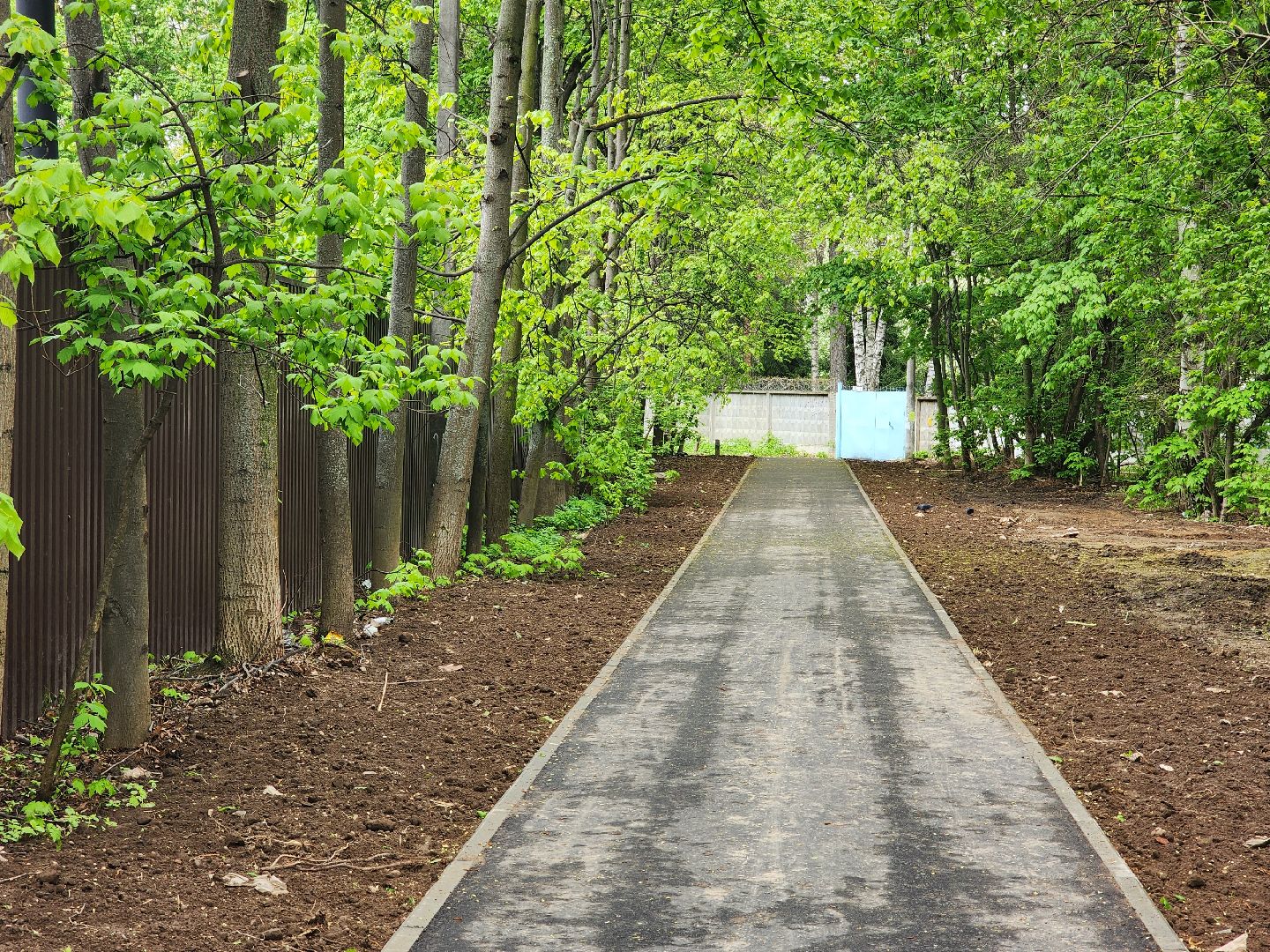 королёв, народные тропы в королеве, благоустройство народных троп ,