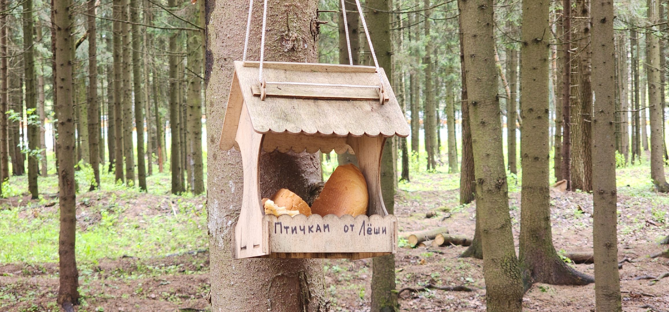 Звенигород, Благоустройство, Лесопарк Супонево , Туризм ,