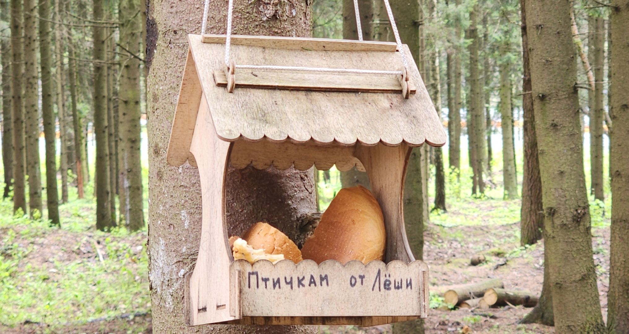 Звенигород, Благоустройство, Лесопарк Супонево , Туризм ,