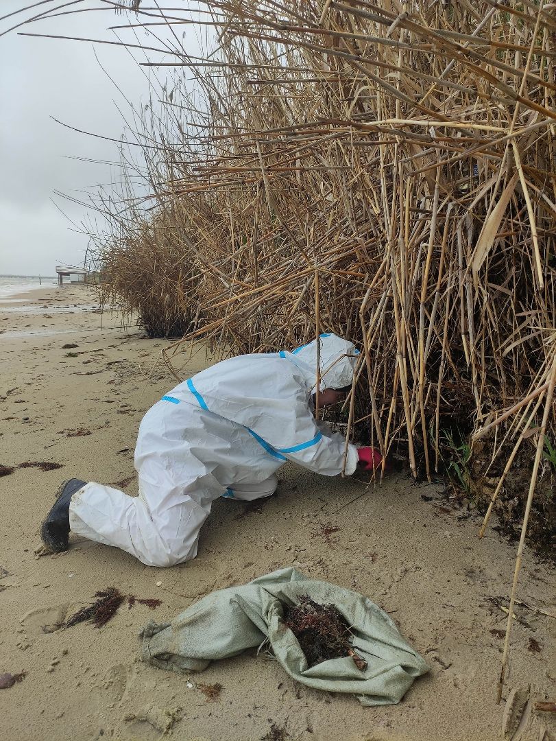 Егорьевск, Подмосковье, Московская область,