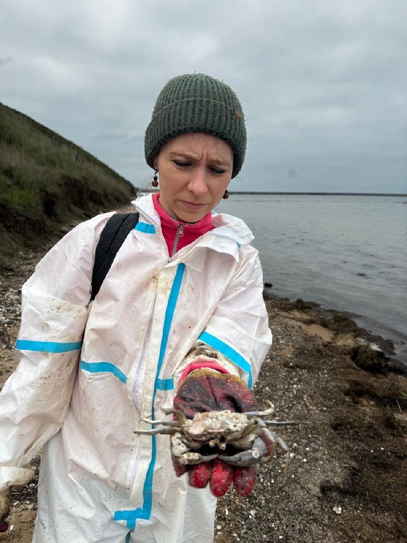 Егорьевск, Подмосковье, Московская область,