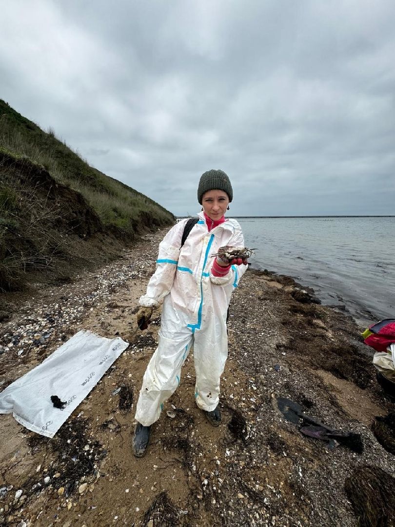 Егорьевск, Подмосковье, Московская область,