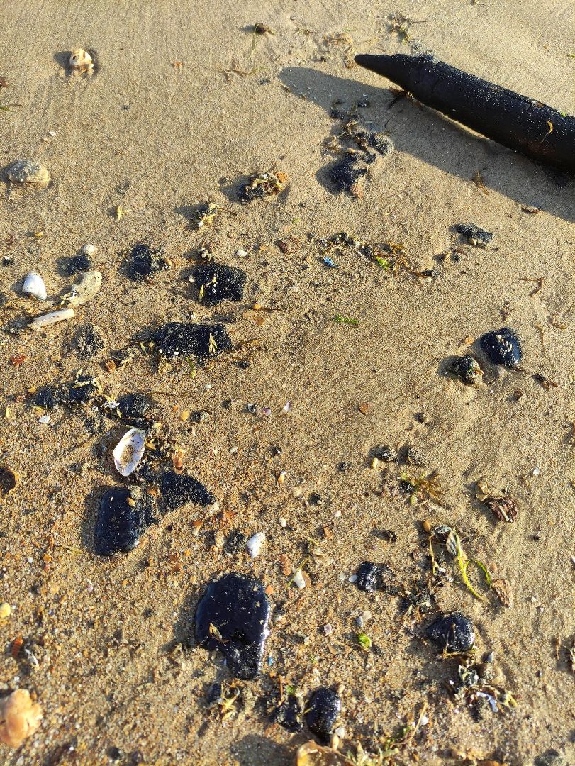 Егорьевск, Подмосковье, Московская область,