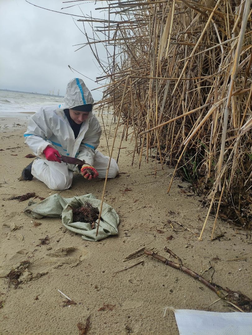 Егорьевск, Подмосковье, Московская область,