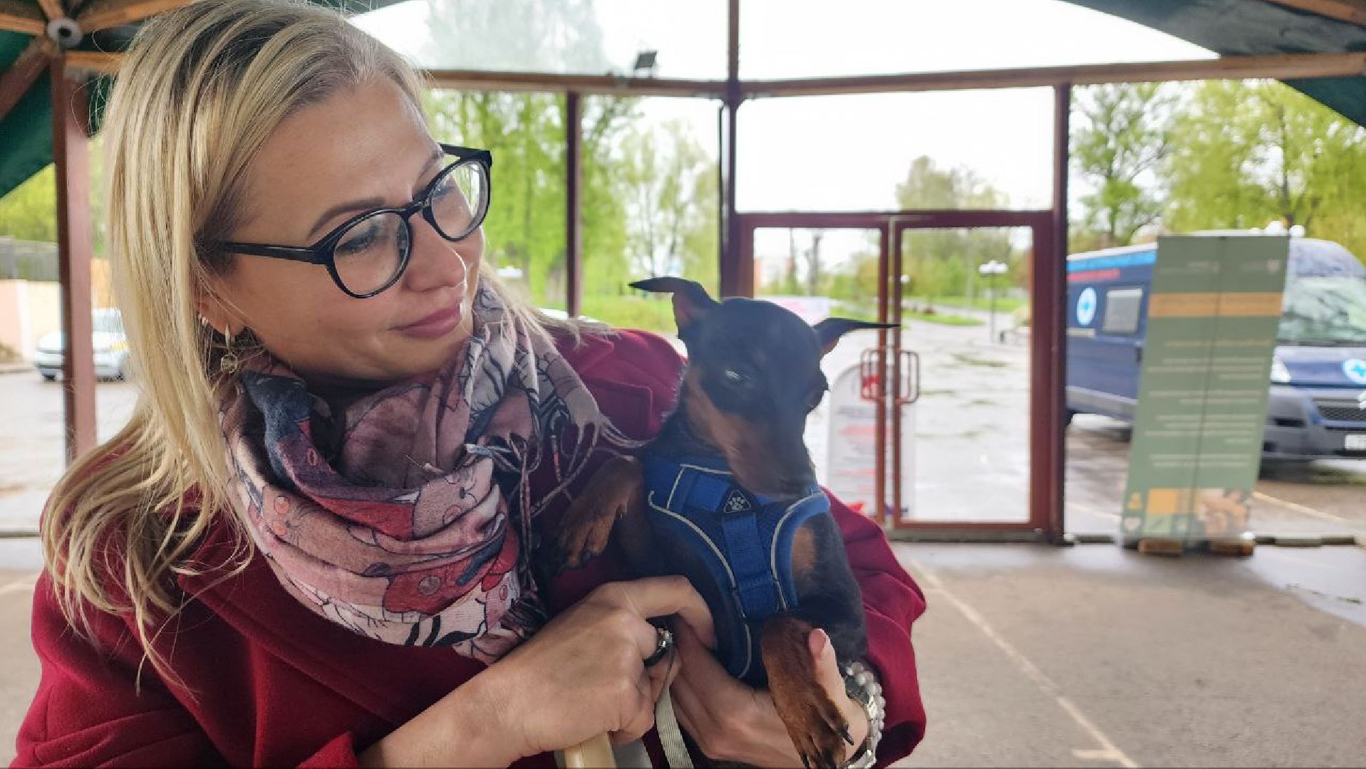 Дмитров, Госветстанция, Яхрома, Чипирование животных, Вакцинация животных,