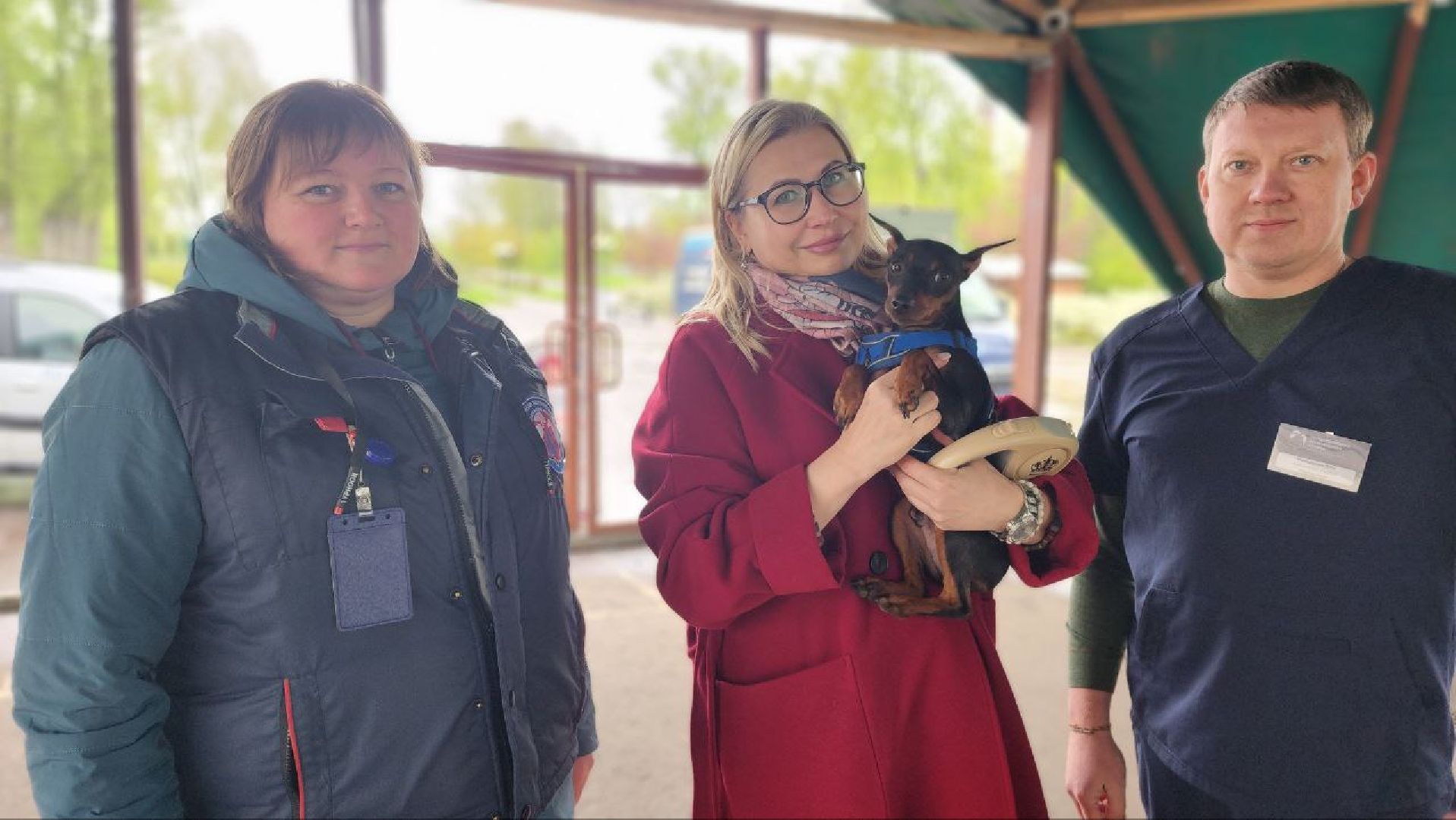 Дмитров, Госветстанция, Яхрома, Чипирование животных, Вакцинация животных,