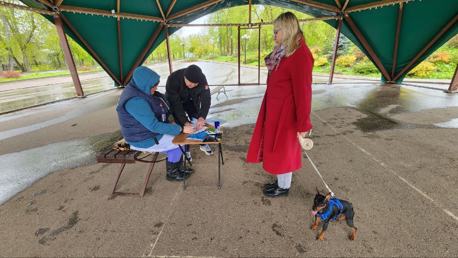 Дмитров, Госветстанция, Яхрома, Чипирование животных, Вакцинация животных,
