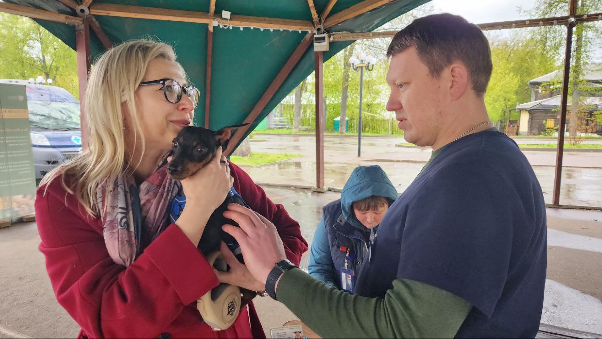 Дмитров, Госветстанция, Яхрома, Чипирование животных, Вакцинация животных,