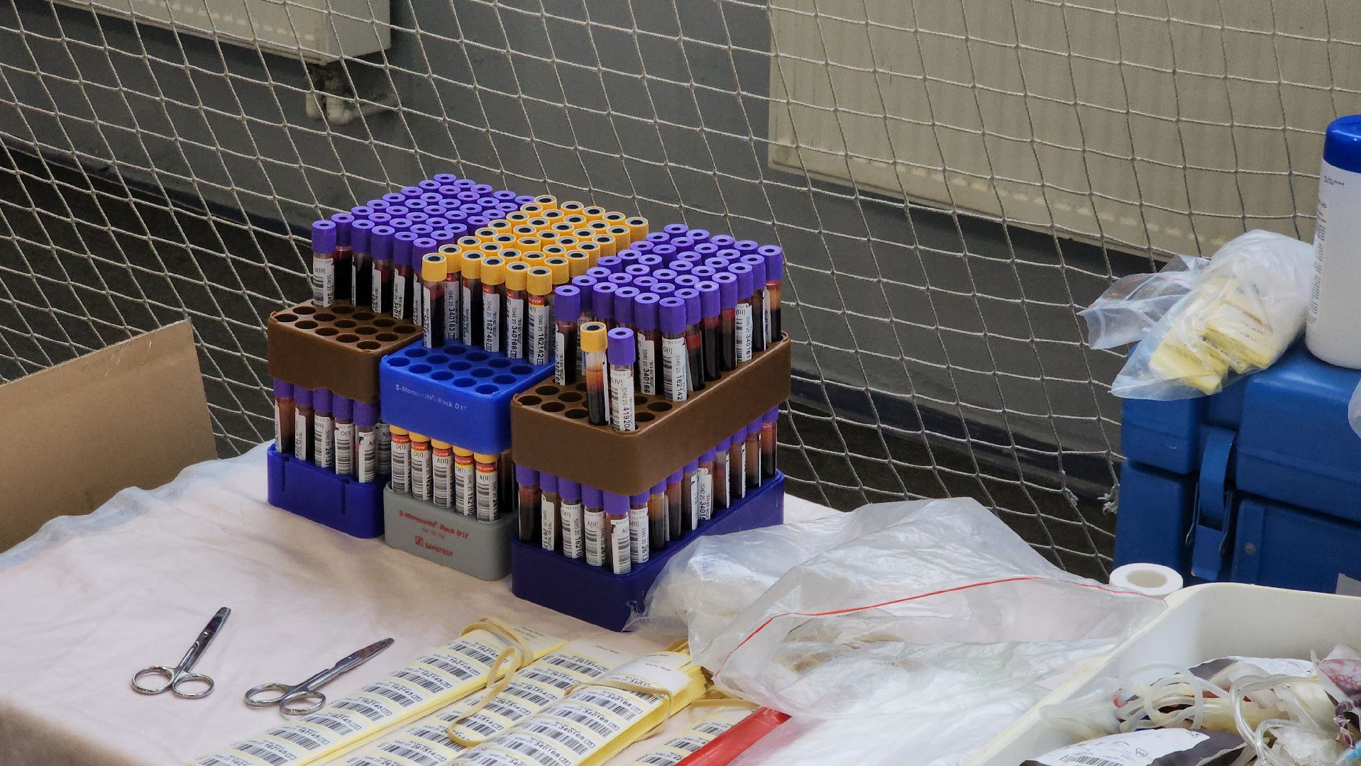 долгопрудный, российский красный крест, код донора , доноры, почетный донор рф, 80 лет победе,