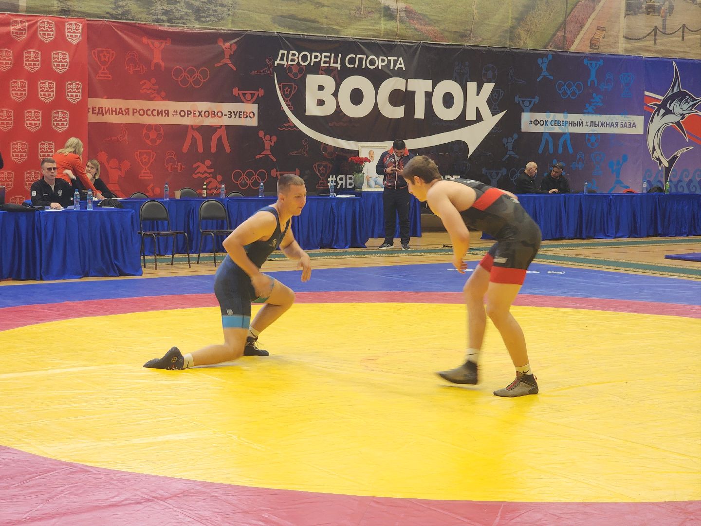 вольная борьба, спортивная борьба, соревнования, орехово-зуево,