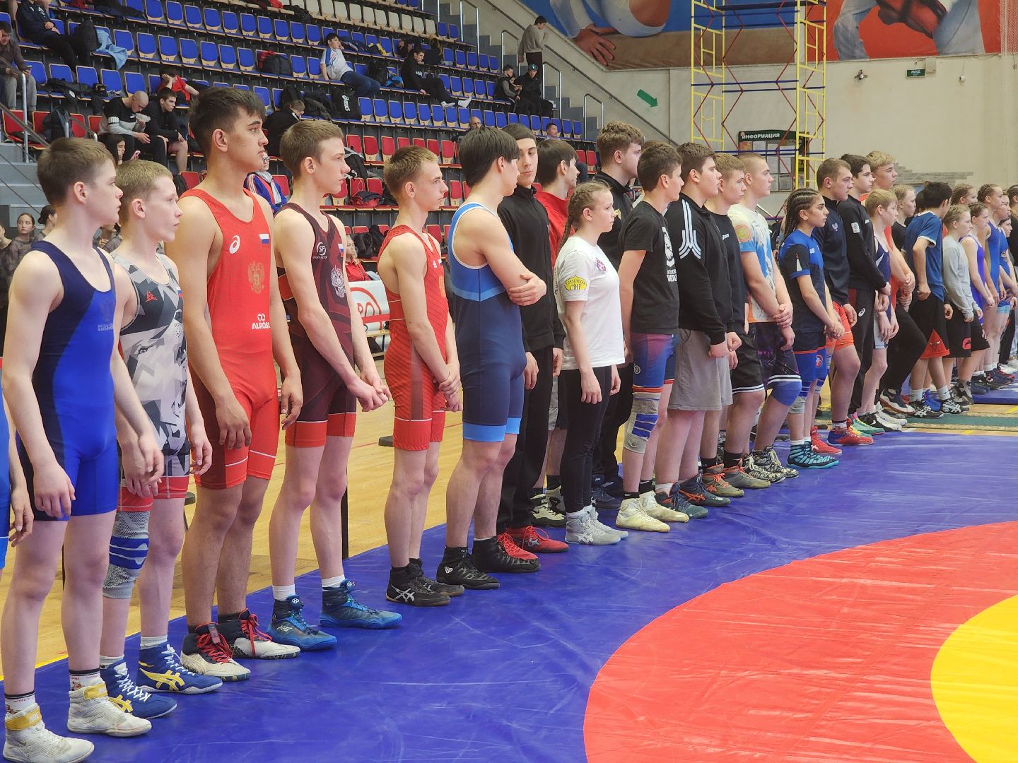 вольная борьба, спортивная борьба, соревнования, орехово-зуево,