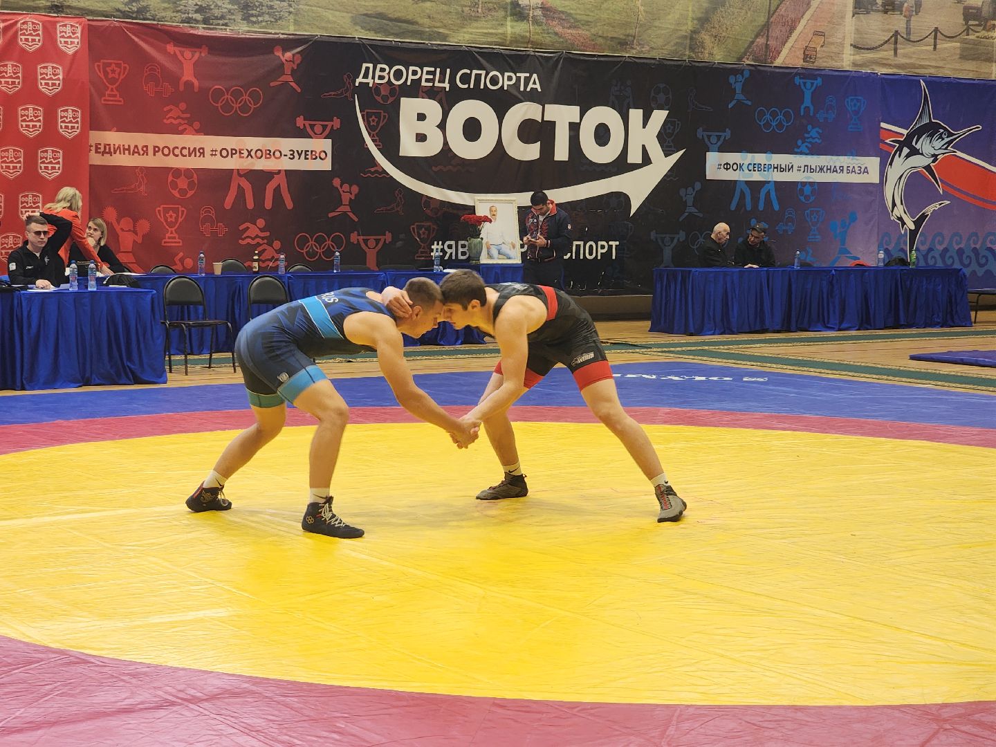 вольная борьба, спортивная борьба, соревнования, орехово-зуево,