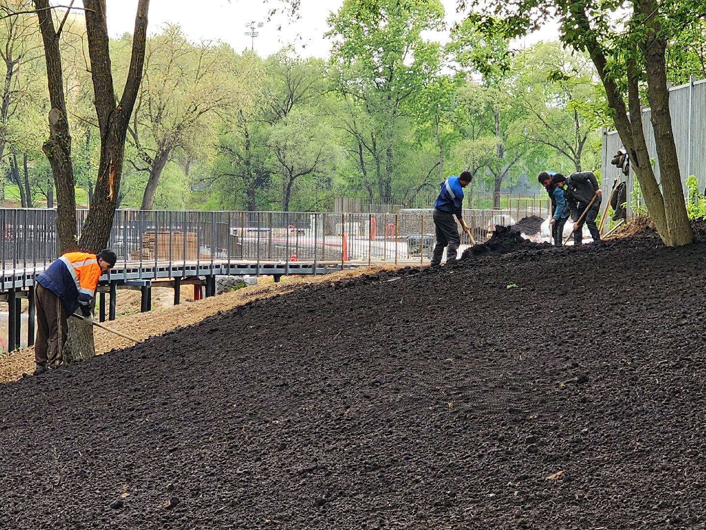 Чехов, улица Береговая, набережная реки теребенка, благоустройство, реконструкция, земляные работы, плодородный грунт, озеленение, госпрограмма московской области,