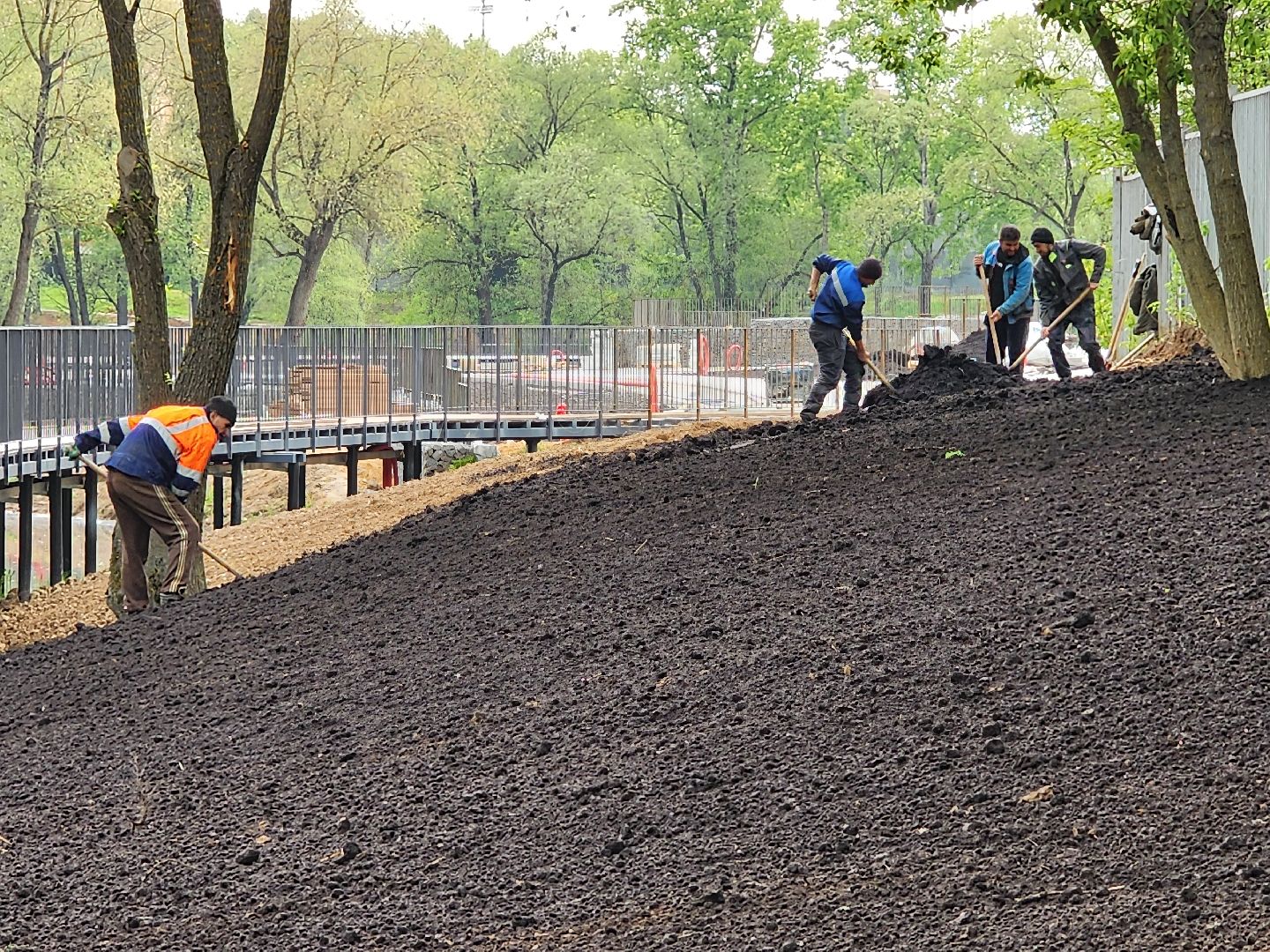 Чехов, улица Береговая, набережная реки теребенка, благоустройство, реконструкция, земляные работы, плодородный грунт, озеленение, госпрограмма московской области,