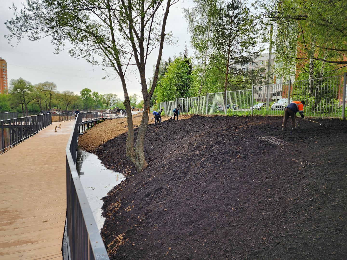 Чехов, улица Береговая, набережная реки теребенка, благоустройство, реконструкция, земляные работы, плодородный грунт, озеленение, госпрограмма московской области,