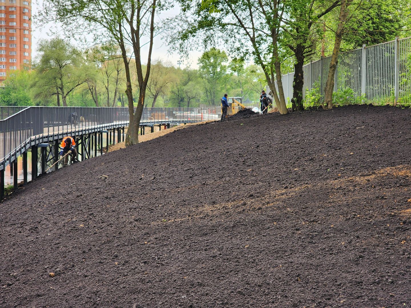 Чехов, улица Береговая, набережная реки теребенка, благоустройство, реконструкция, земляные работы, плодородный грунт, озеленение, госпрограмма московской области,