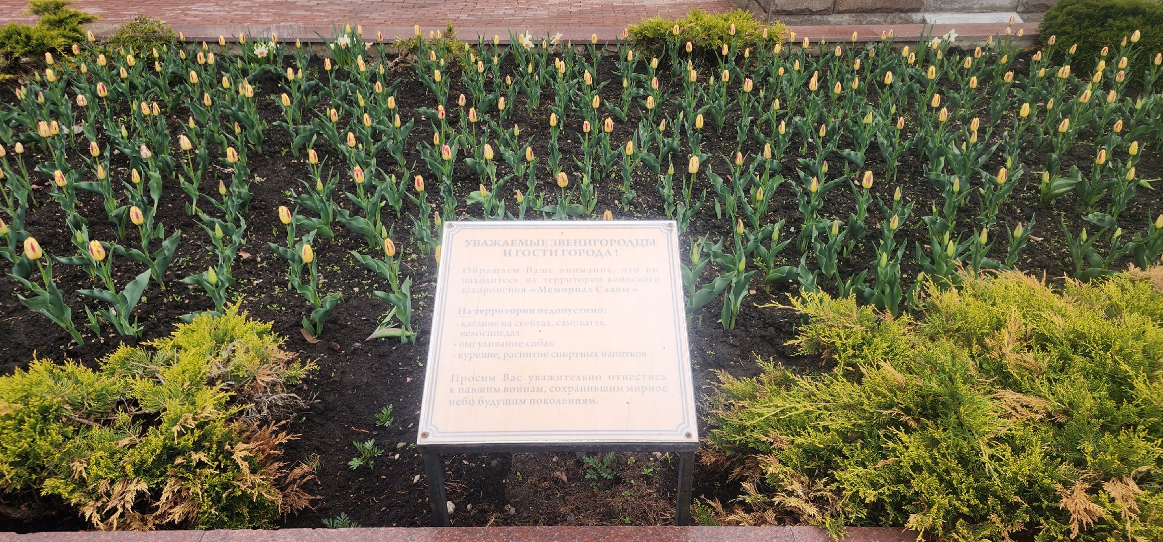 Звенигород , Благоустройство , Места для фотосессий ,