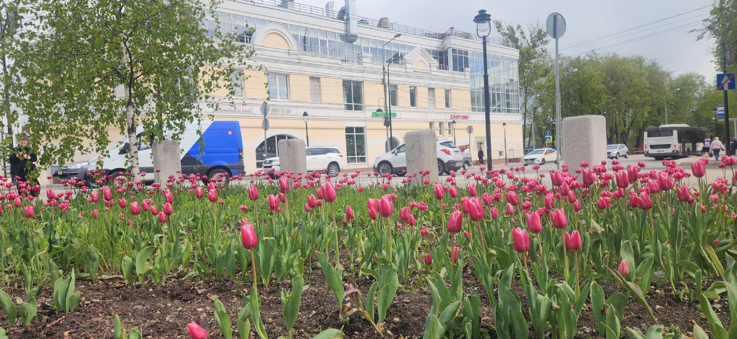 Звенигород , Благоустройство , Места для фотосессий ,