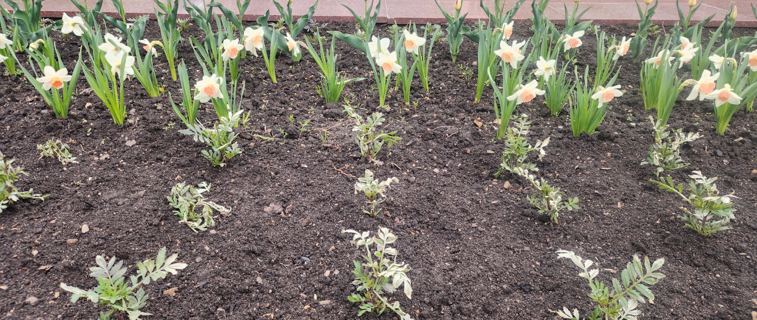 Звенигород , Благоустройство , Места для фотосессий ,