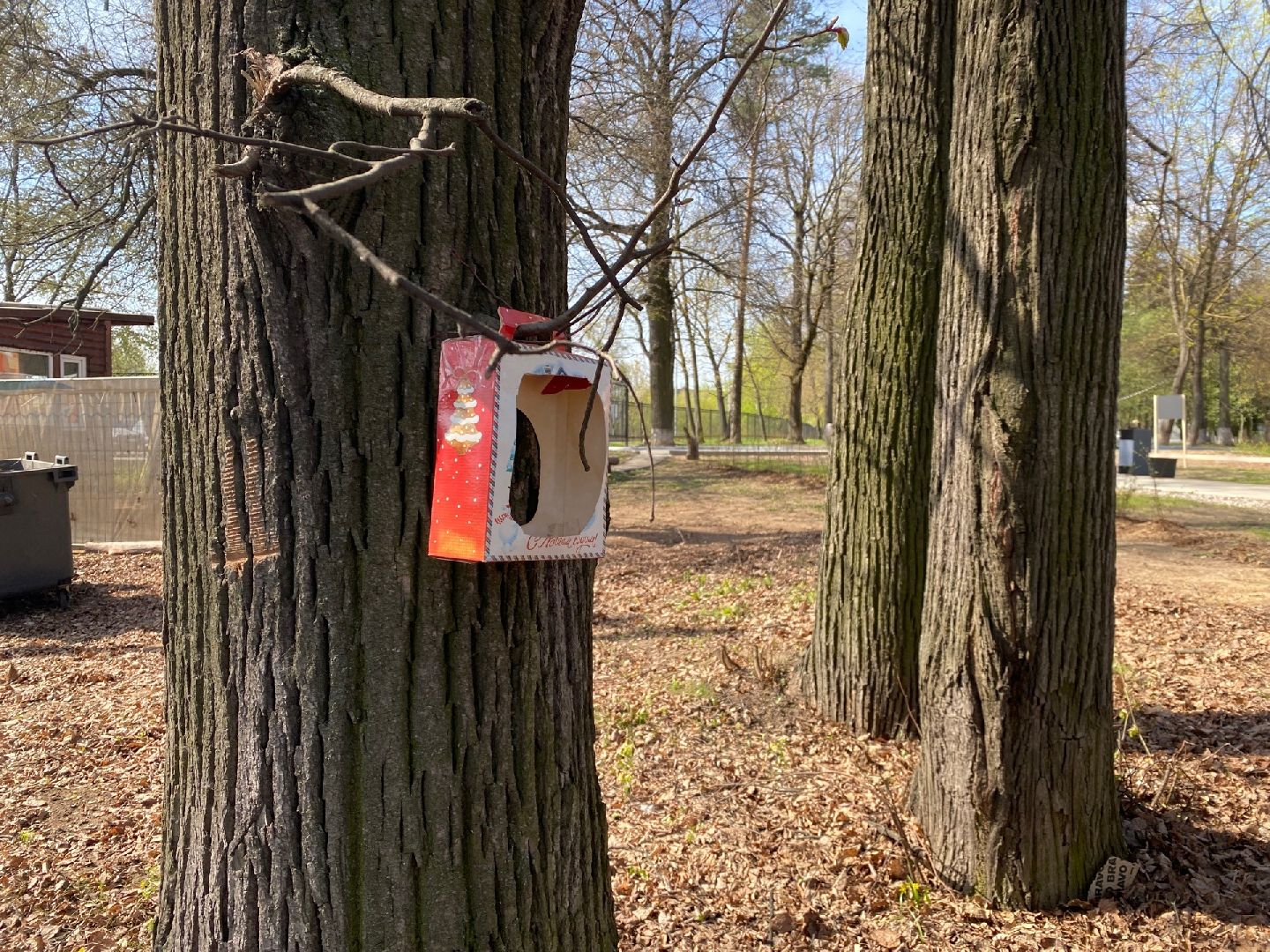 Домодедово, парк, благоустройство, скворечники, птицы